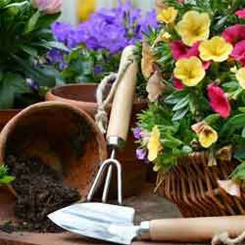 Gardening Service